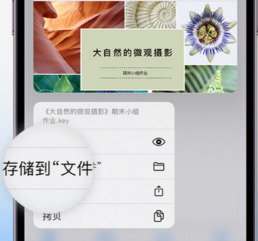 崇川apple维修中心分享iPhone文件应用中存储和找到下载文件