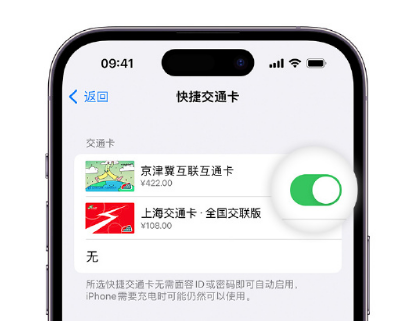 崇川apple维修点分享iPhone上更换Apple Pay快捷交通卡手绘卡面 