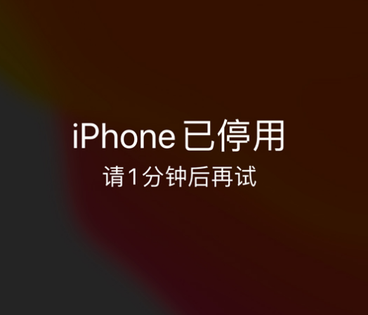 崇川苹果手机维修分享:iPhone 显示“不可用”或“已停用”怎么办？还能保留数据吗？ 