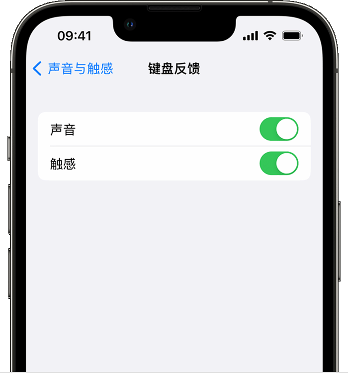 崇川苹果14维修店分享如何在 iPhone 14 机型中使用触感键盘 