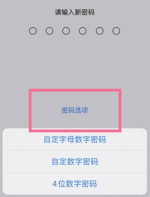 崇川苹果14维修分享iPhone 14plus设置密码的方法 