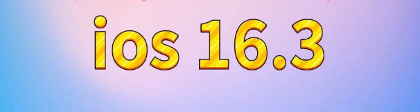 崇川苹果服务网点分享苹果iOS16.3升级反馈汇总 