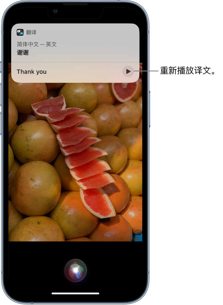 崇川苹果14维修分享 iPhone 14 机型中使用 Siri：了解 Siri 能帮你做什么 