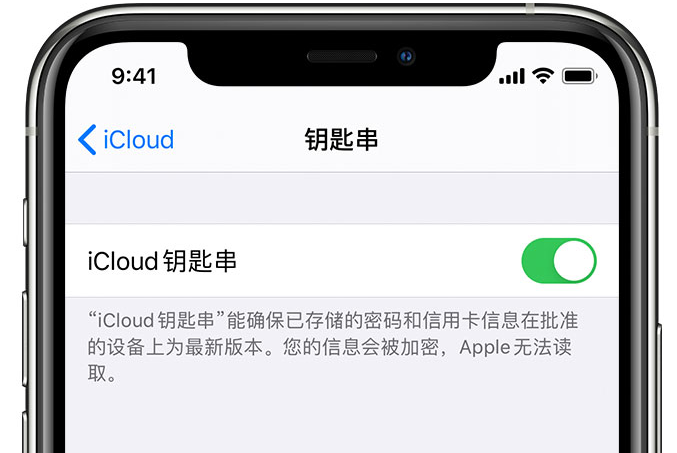 崇川苹果手机维修分享在 iPhone 上开启 iCloud 钥匙串之后会储存哪些信息 